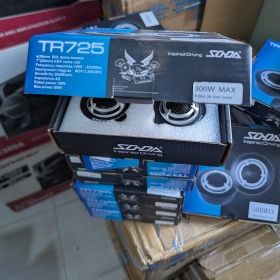 Car Radio Tweeters Sonda 300W-TR725